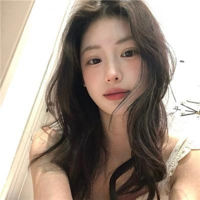 假元首秘纪